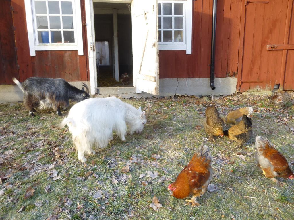 Kullagarden Farm stay Vreta Kloster