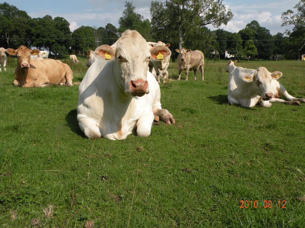 Farm stay Kullagarden